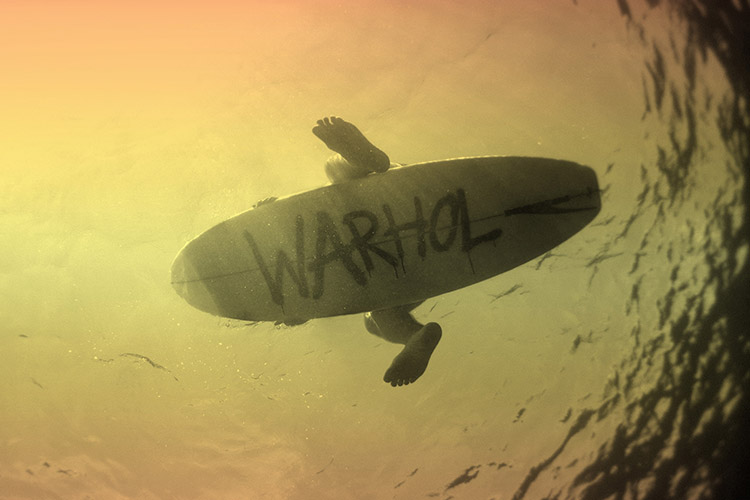 Billabong x Andy Warhol
