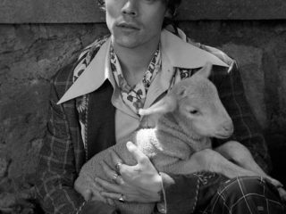 Harry Styles x Gucci