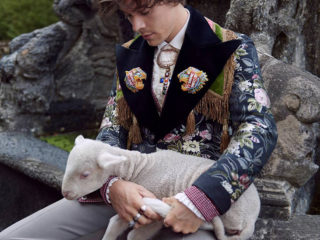 Harry Styles x Gucci