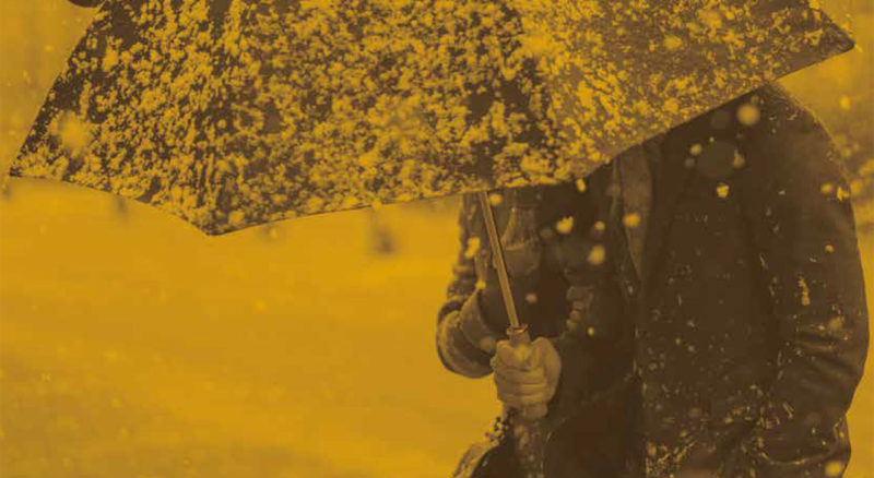 Unas Vacaciones en Invierno