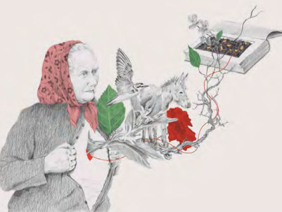 "Almáciga" de María Sánchez