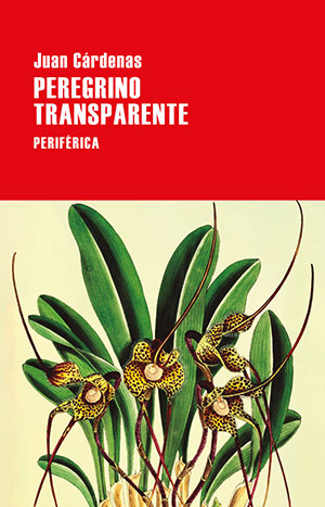 Peregrino Transparente (Periférica), de Juan Cárdenas